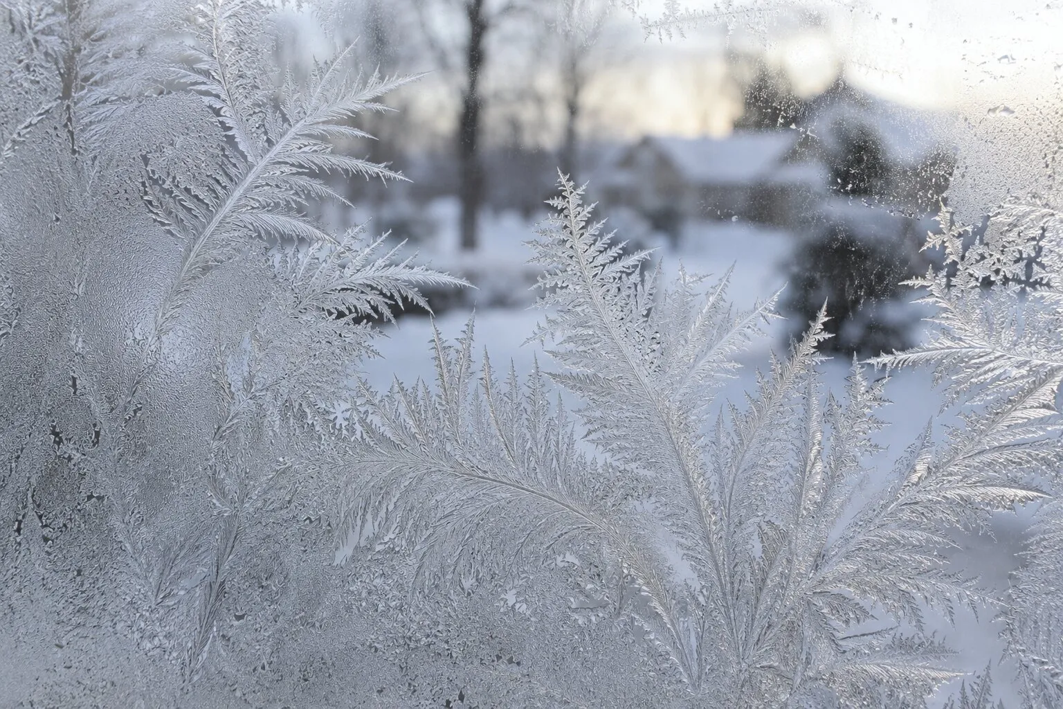 Frost crystals on a window pane on a cold winter morning